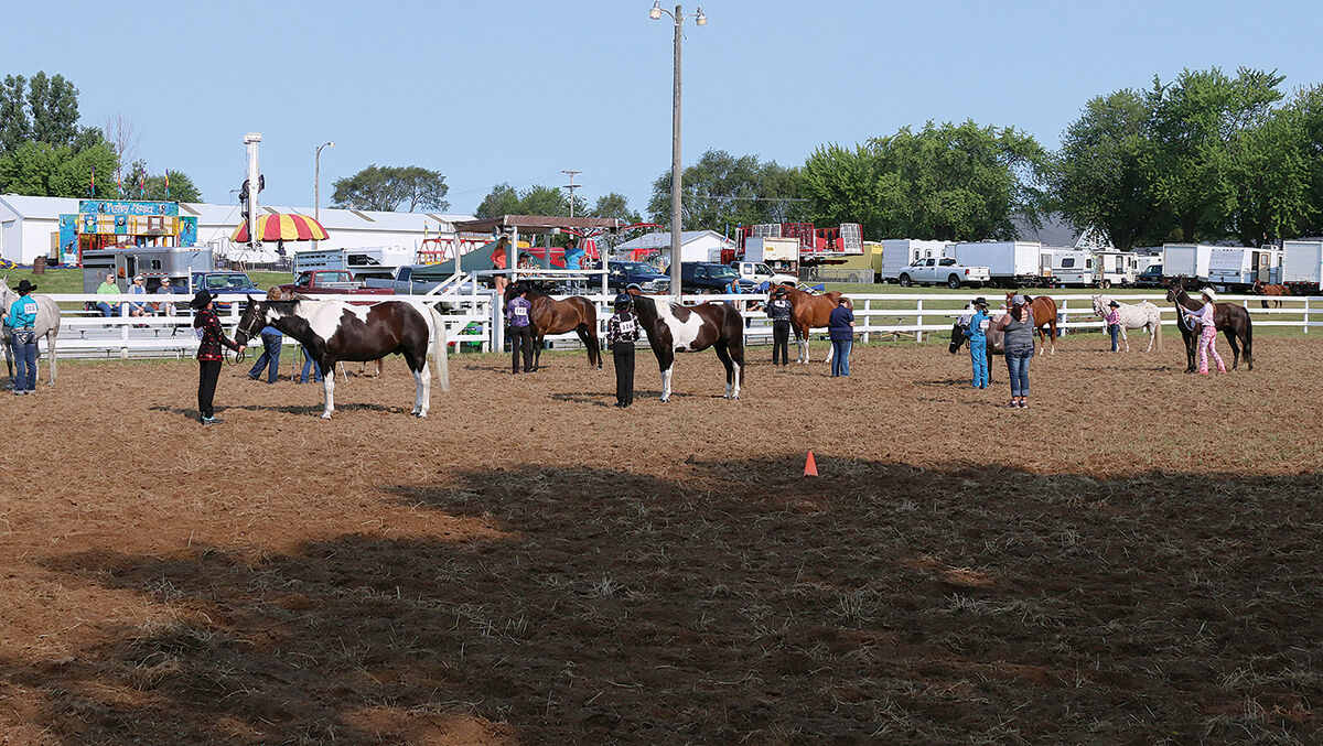 2017 Horse Show at Bloomer Fair